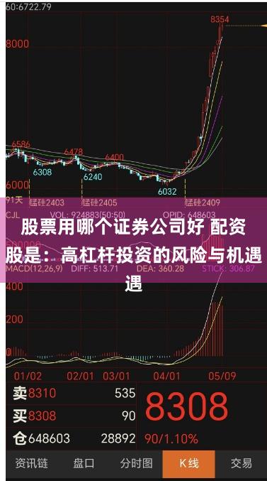 股票用哪个证券公司好 配资股是：高杠杆投资的风险与机遇